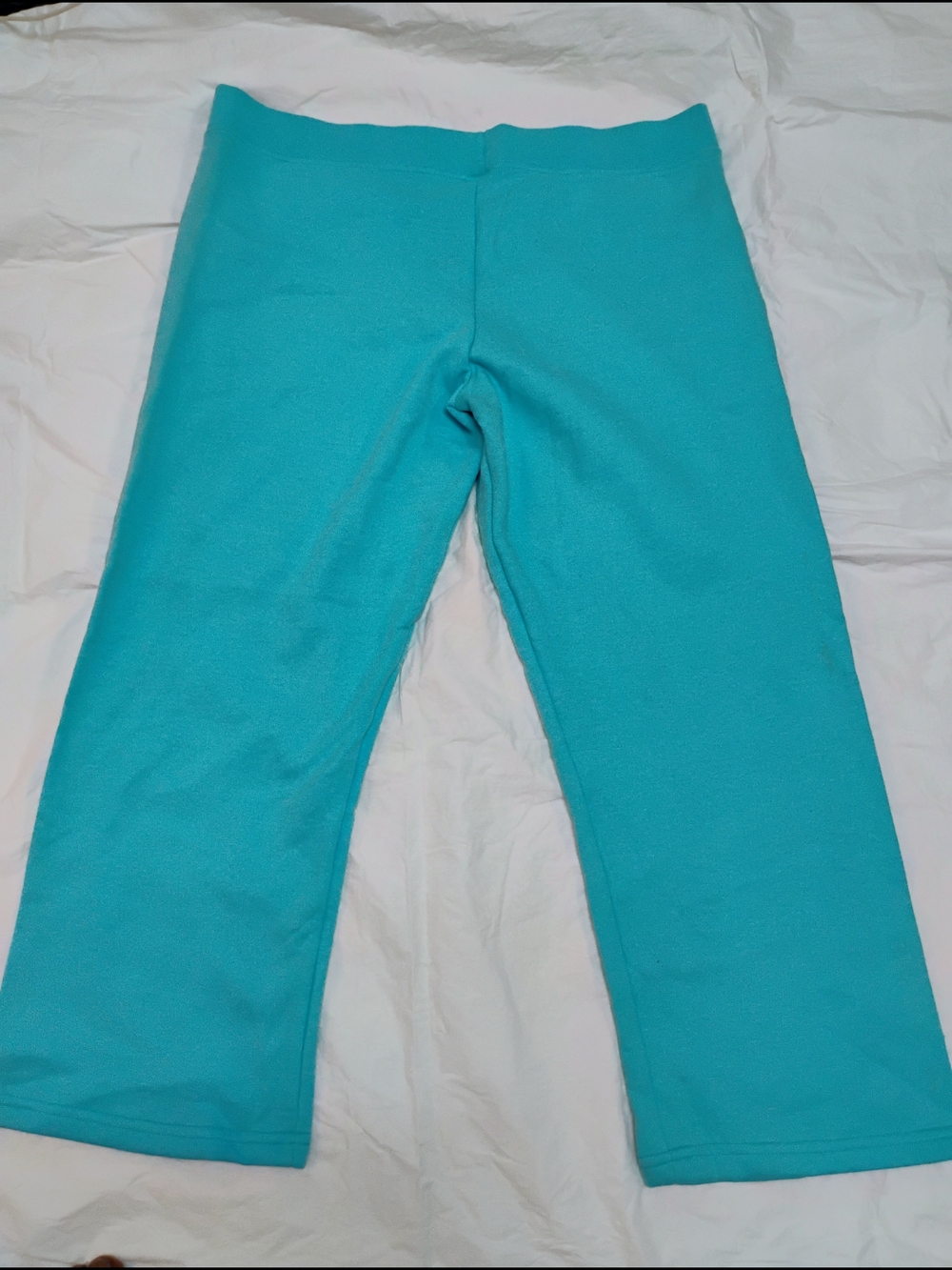 Fruit of the Loom Teal Women’s Pants